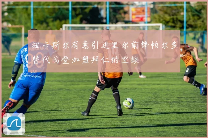 纽卡斯尔有意引进里尔前锋帕尔多替代戈登加盟拜仁的空缺